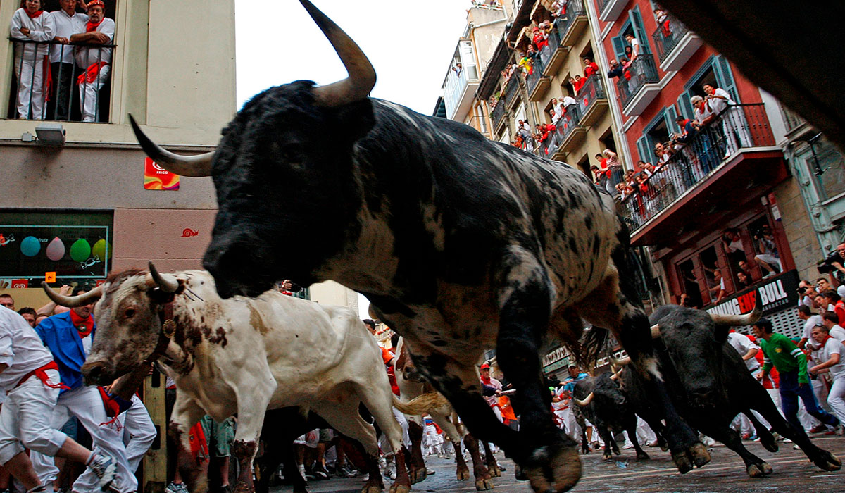 The San Fermín Party