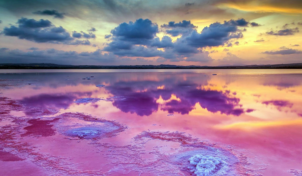 The Pink Lake of Torrevieja, a spectacular scene