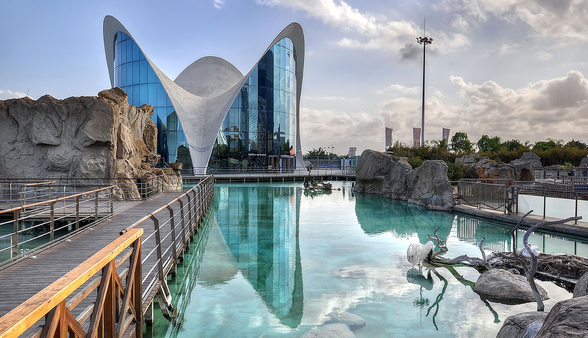 Valencia’s Oceanografic, the largest aquarium in Europe