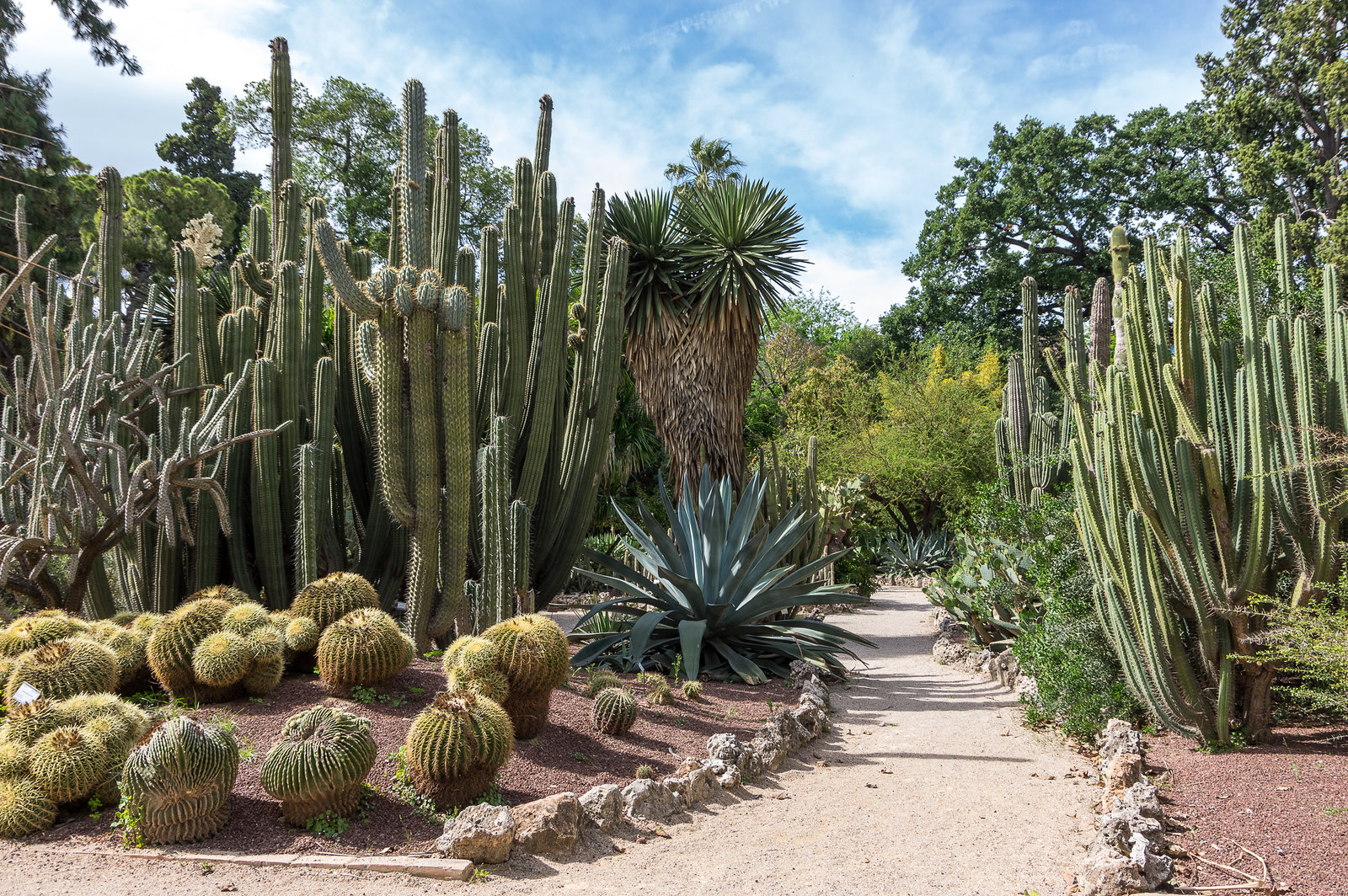 Valencia and its parks