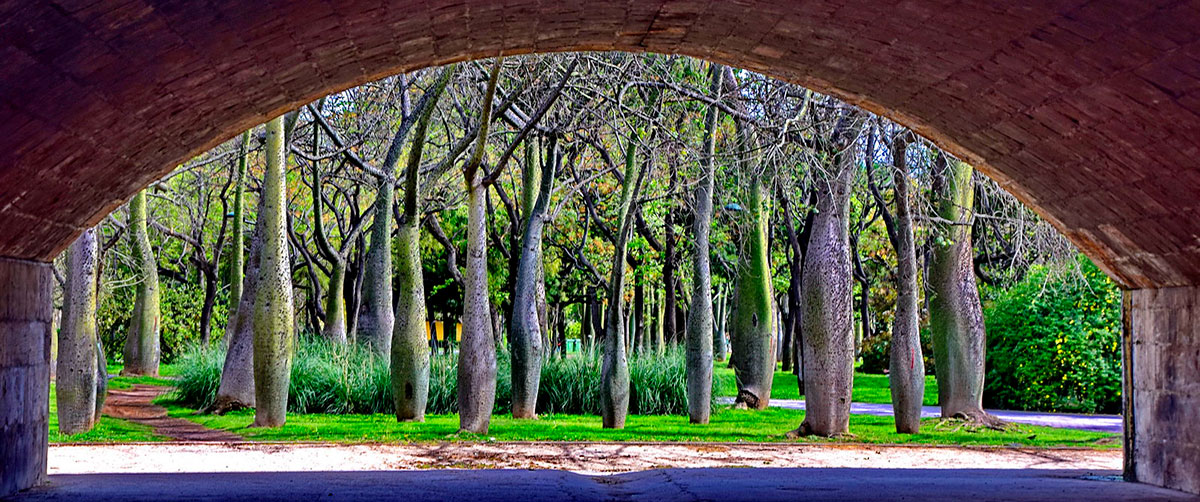 The park that crosses Valencia in the old riverbed of the Turia river